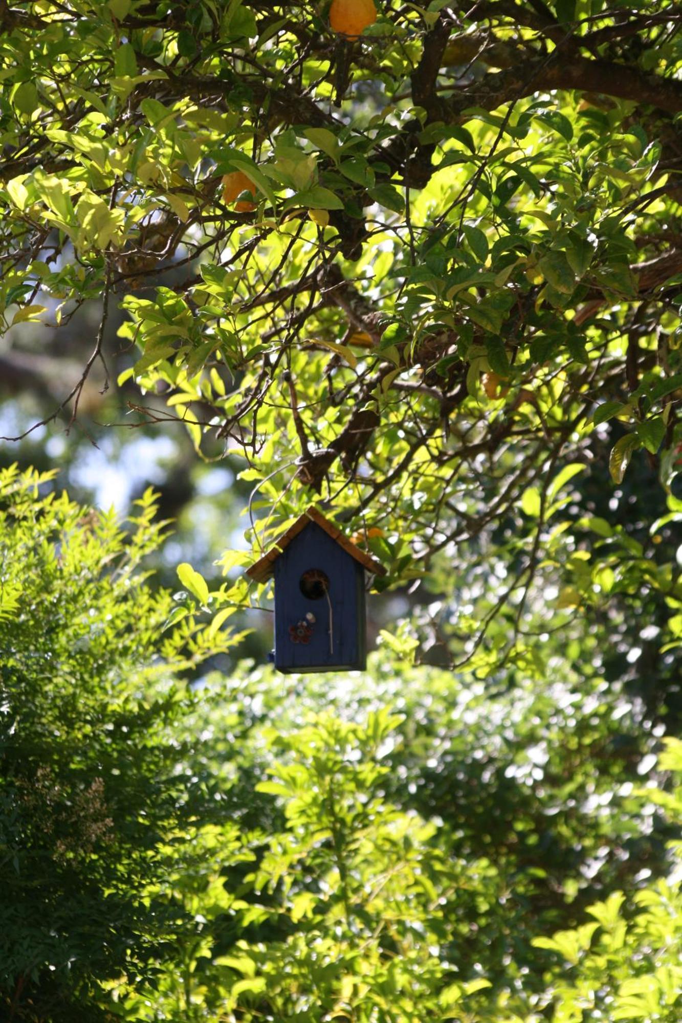 Tortelduif Cottage Stellenbosch Exterior photo